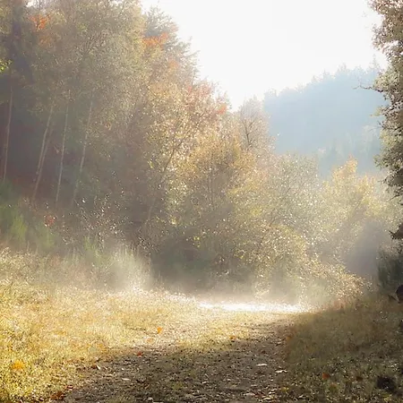 Chez Cyrille Houffalize